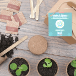 Kit 027 Siembra mix huerta - Imagen 2