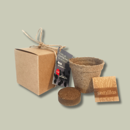 Kit 023 Mini garden eco