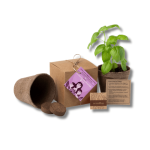 Kit 023 Mini garden eco - Imagen 2