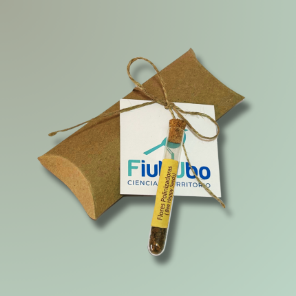 Kit 029 Tubo con semillas