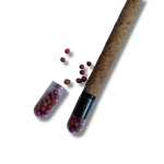 Kit 043 Lápiz plantable - cuerpo de corcho - Imagen 2