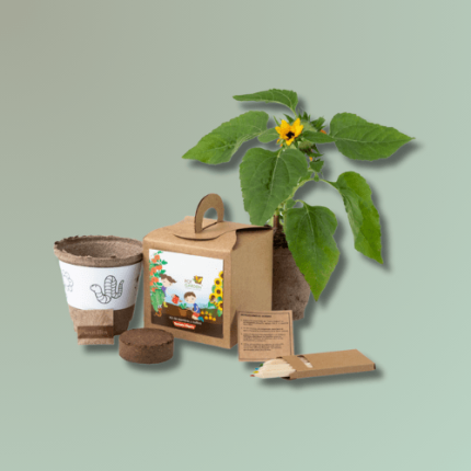 Kit 046 niños mi huerto