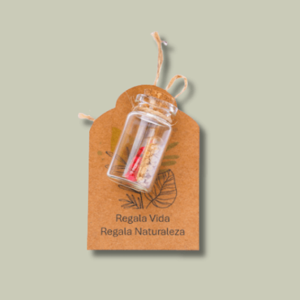 Kit 06 Píldoras con semillas