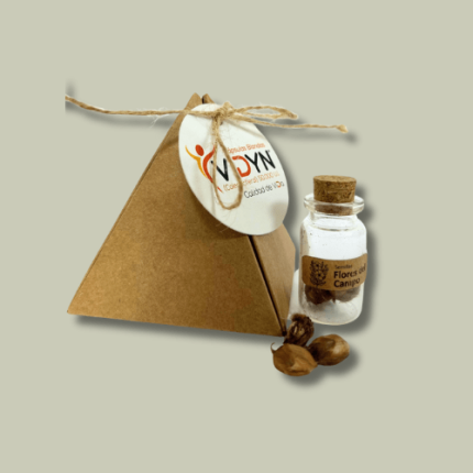 Kit 020 Lucky Clover (Trébol de 4 Hojas)