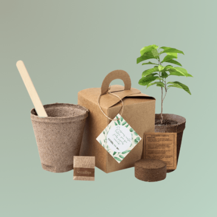 Kit 049 Siembra un árbol